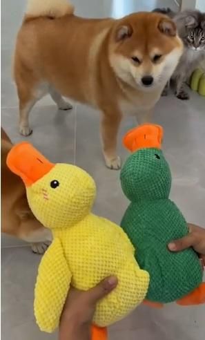 Stuffed Squeaky Plush Dog Toy for Pets Engagement
